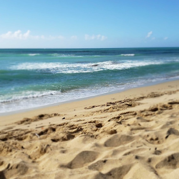 Meet your Posher, Crystal - Picture 1 of 1